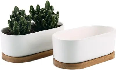 Produktbild von Famanu Pflanzentopf Set für Sukkulenten - Keramik - 2 Stück - Weiß - 17 cm