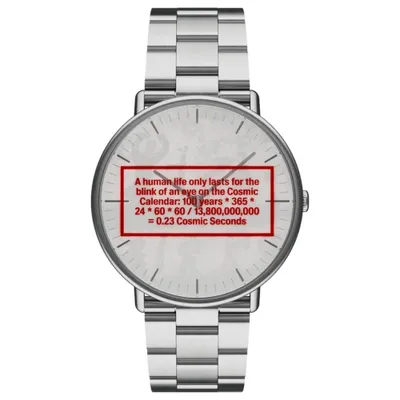 Productafbeelding van Nordgreen Copenhagen - NR36SI3LSIXX - Armbanduhr - Damen - Quarz - NATIVE