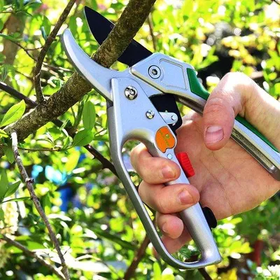 Produktbild von Gartenschere, Rasenschere, Gartenpflege