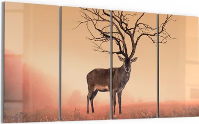 Produktbild von DEQORI Glasbild Echtglas 4x30x60 cm 'Zauberwaldhirsch' Wandbilder XXL groß