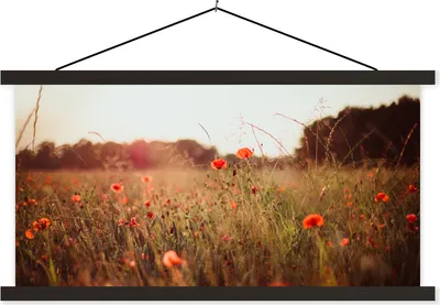 Produktbild von MuchoWow® Textilposter Sonnenuntergang - Blumen - Rot 150x75 cm mit schwarzem Rahmen - Posterleiste