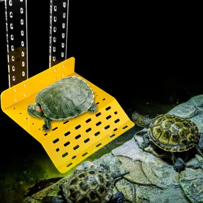 Image de CFTGIW Plateforme à mâchoires Bouclier reptilien Plateforme flottante Terrasse f��r Aquarium Réservoir à poissons Le de crochets peut Plateforme à mâchoires Aquarium Reptiles Plateforme flottante Bouclier flottant