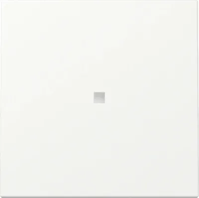 Immagine prodotto di Gira interruttore a bilanciere, pannello di controllo, bianco puro, sistema 55, 1 pz.