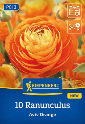 Produktbild von Kiepenkerl Ranunkeln Orange Aviv Ranunculus 10 Pflanzen