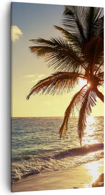 Produktbild von Bild auf Leinwand - Leinwandbild - Wolke exotischer Palm- Landschaft - 55x100cm - Wand Bild - Wanddeko - Leinwanddruck - Bilder - Kunstdruck - Leinwand bilder - Wandkunst - PA55x100-3180