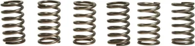 Immagine prodotto di Kit 6 molle frizione EBC CSK088