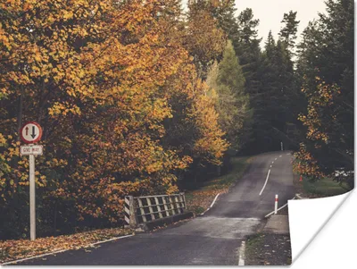 Produktbild von MuchoWow® Poster Bäume - Straße - Herbst 120x90 cm - Wandbild