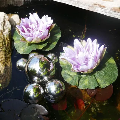 Produktbild von Miniteich Komplettset - 2x künstliche Seerosen Lila (17cm) & 6x silberne Edelstahl Schwimmkugeln (4-10cm) - Dekorative Teichdekoration für Garten, Balkon & Wohnraum