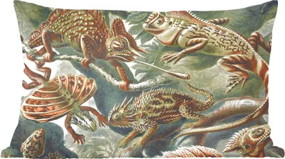 Produktbild von MuchoWow® Zierkissen Sofakissen Wohnzimmer Dekokissen 50x30 cm Jahrgang - Kunst - Ernst Haeckel - Salamander - Tiere - Wohnzimmerdekoration - Polster mit Photo