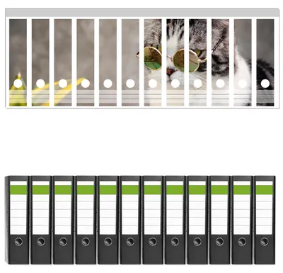 Produktbild von Wallario 12 Stück breite Ordner inkl. Klebeetiketten mit Motive Katze mit Stil -  Set mit Rückenschildern / Ordnerrücken Stickern