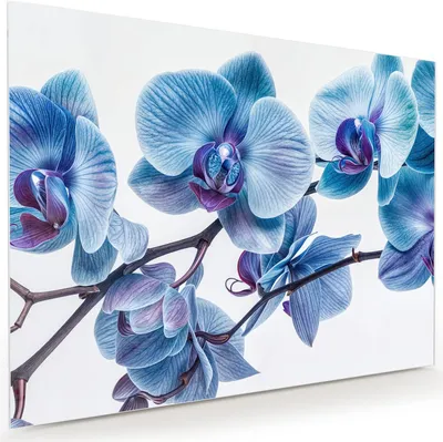 Produktbild von Glasbild 120x90cm in XXL für Wohnzimmer, Schlafzimmer Motiv Blaue Orchideen Blüte