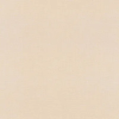 Zdjęcie produktu dla Tapeta flizelinowa 690767 Jednokolorowa tapeta gładka 53 x 1005 cm Rasch Selection Beige