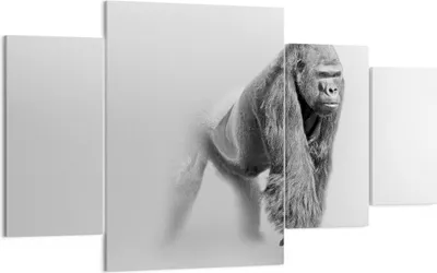 Produktbild von Bild auf Leinwand - Leinwandbild - Orang-Utan Tier - 160x90cm - Wand Bild - Wanddeko - Wandbilder - Leinwanddruck - Bilder - Kunstdruck - Wanddekoration - Leinwand bilder - Wandkunst - DL160x90-4105