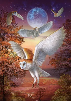 Produktbild von Art Puzzle Puzzle Moonlight Owls - 1000 Teile Karton