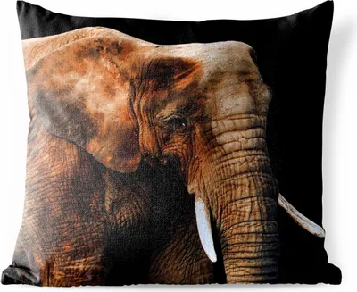 Produktbild von MuchoWow® Outdoor Kissen - Elefant - Tiere - Braun - 50x50 cm - Wetterfest - Lounge Kissen - Komfortabel - Kissen mit Bild