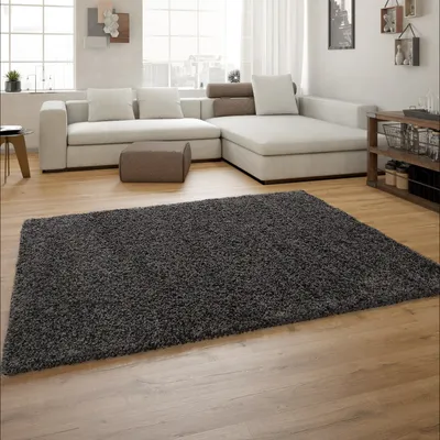 Produktbild von Hochflor Shaggy Teppich Preishammer Einfarbig in Anthrazit Größe 120x170 cm