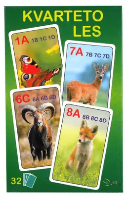 Image de Le jeu de cartes du Quatuor - La Forêt