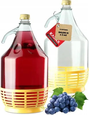 Image de Bonbonne à vin - Bonbonne de fermentation 5 l x2 - Verre - Avec panier - Pour le vin et la fermentation - Avec bouchon