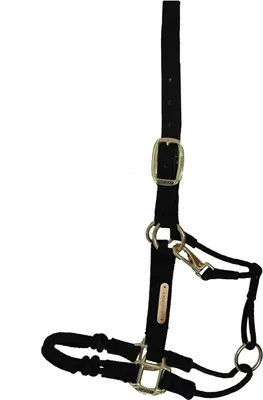 Produktbild von Kentucky Horsewear Kontrollhalfter Pferdehalfter Full
