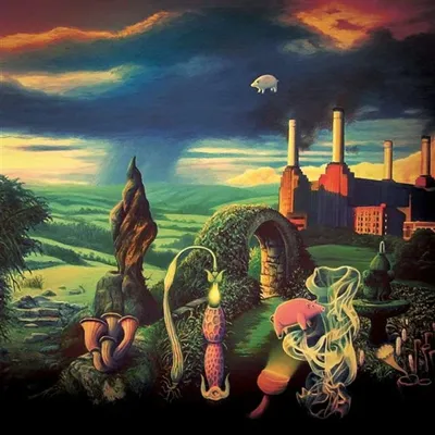 Image de Pink Floyd - Animals Reimagined : A Tribute To Pink Floyd (édition limitée) (couleur rose) (LP)