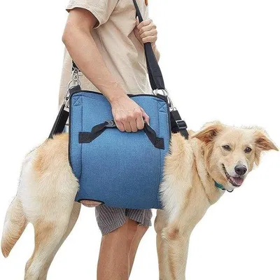 Produktbild von Hunde-Trainingsrucksack mit Unterstützung, verstellbares Hunde-Gurt, geeignet für ältere Hunde mit Gelenksproblemen, Arthrose oder die Treppen hinaufsteigen müssen (XL, blau).