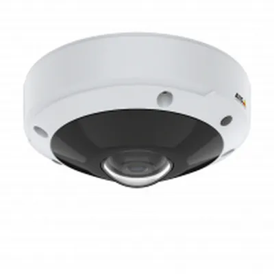 Image de Axis M3077-PLVE - Caméra réseau panoramique - dôme - extérieur - anti-vandalisme / résistant aux intempéries - couleur (jour et nuit)