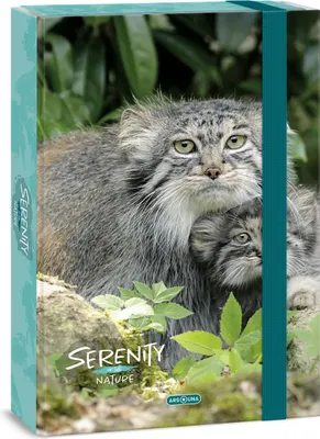 Obrázek produktu pro Ars Una Box na sešity Serenity Manul A4