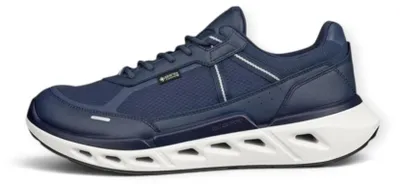 Produktbild von Schuhe Ecco Biom 720 GTX 85040461903