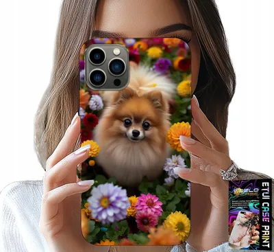 Immagine prodotto di Custodia Per Iphone 13 Pro Max - Simpatico Cane, Custodia Pomerania + Vetro