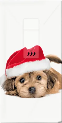 Produktbild von Papiertaschentücher "Sweet Santa Dog"