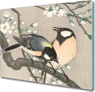 Produktbild von Coloray Hackbrett Küchenbrett Kochplattenabdeckung Schneidebrett Herdabdeckplatte 60x52 cm - Natur Tiere Vögel