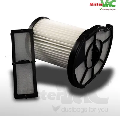 A vacuum cleaner filter and its separate mesh screen are displayed on a white and gray background.