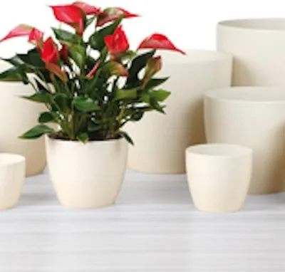 Produktbild von SCHEURICH Übertopf Creme 920/33 cm