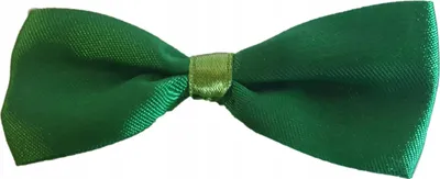 Immagine prodotto di Portabottiglie 12 pezzi fiocchi verde