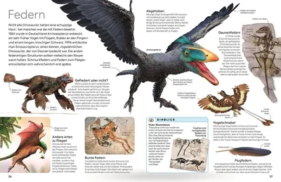 Zdjęcie produktu dla memo Wissen. Dinosaurier