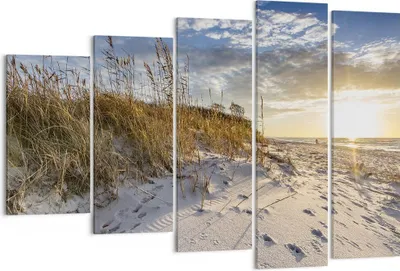 Produktbild von Bild auf Leinwand - Leinwandbild - 5 Teile - Sand Gras Meer - 150x100cm - Wand Bild - Wanddeko - Wandbilder - Leinwanddruck - Bilder - Wanddekoration - Leinwand bilder - Wandbild - EG150x100-4781