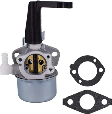 Produktbild von 696065 697422 Vergaser mit Montagedichtungssatz für Briggs & Stratton Pinnenmotor 110402 110412 215369 5 PS 5,5 PS 6 PS 6,5 PS 7 PS Troy Pinnenmotor Intek Generator Motorpumpe