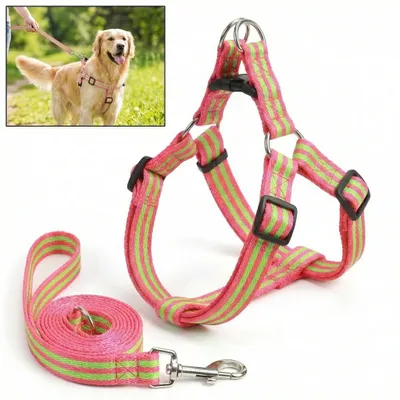 Immagine prodotto di Set imbracatura per cani con guinzaglio da 1,2 m, regolabile e anti-tiro, rosso, XL