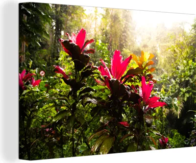 Produktbild von OneMillionCanvasses® - Leinwandbilder - 140x90 cm, Schöne Blumen inmitten des Dschungels, Wandbilder Kunstdruck Wanddekoration - Foto auf Leinwand - Gemälde auf Holzrahmen