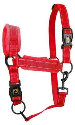 Productafbeelding van Uitstekend paardentuig, halster, kleur: rood, maat: M