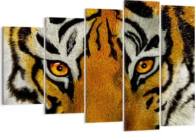 Produktbild von Bild auf Leinwand - Leinwandbild - Tiger Tiere Natur Safari - 150x100cm - Wand Bild - Wanddeko - Leinwanddruck - Bilder - Kunstdruck - Wanddekoration - Leinwand bilder - Wandkunst - EG150x100-1549