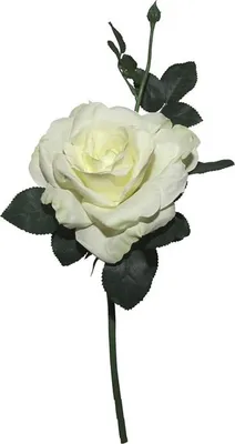 Produktbild von Künstliche Blume Weiss 35Cm 16023.10
