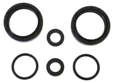 Immagine prodotto di Kit paraolio forcella ATHENA 41x54x14
