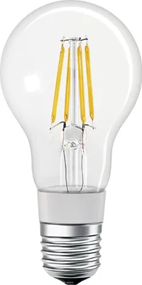 A close-up studio shot of a clear LED light bulb with a white base and silver screw fitting.