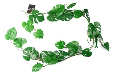 Image de Plantes suspendues artificielles à feuilles