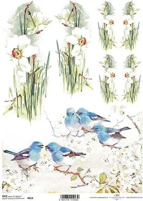 Immagine prodotto di ITD Carta di riso per decoupage, tecnica di servizio, narcisi, uccelli R0653