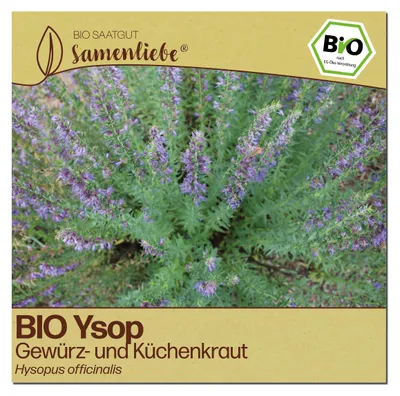 Produktbild von Samenliebe  Ysop Samen | Heilpflanze - winterhart & mehrjährig - samenfestes  Saatgut