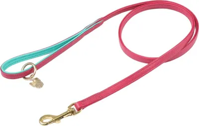 Immagine prodotto di Digby & Fox - Guinzaglio per cani, in pelle, imbottito ER2089 (1,5 cm) (Rosa)