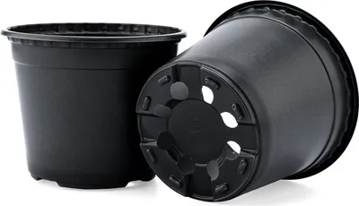 Image de Allecto Plus - Pots de culture en plastique | 100 pièces | 10 cm | Pots de culture pour légumes et herbes aromatiques