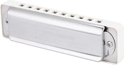 Obrázok produktu pre KONGSHENG Phosphor Bronze Reed 10 Hole 20 Tone Blues Harmonica v tóne D s polstrovanou čistiacou handričkou od RiToEasysports (biela)